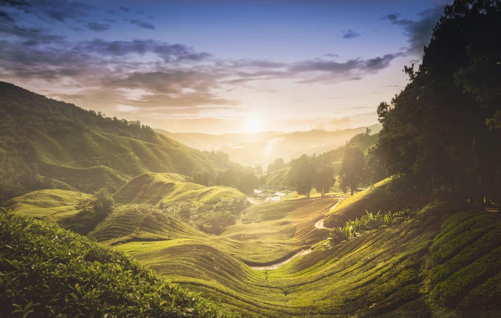 Ziro Valley in Arunachal Pradesh – Home to the famous Ziro Music Festival in September 2025.