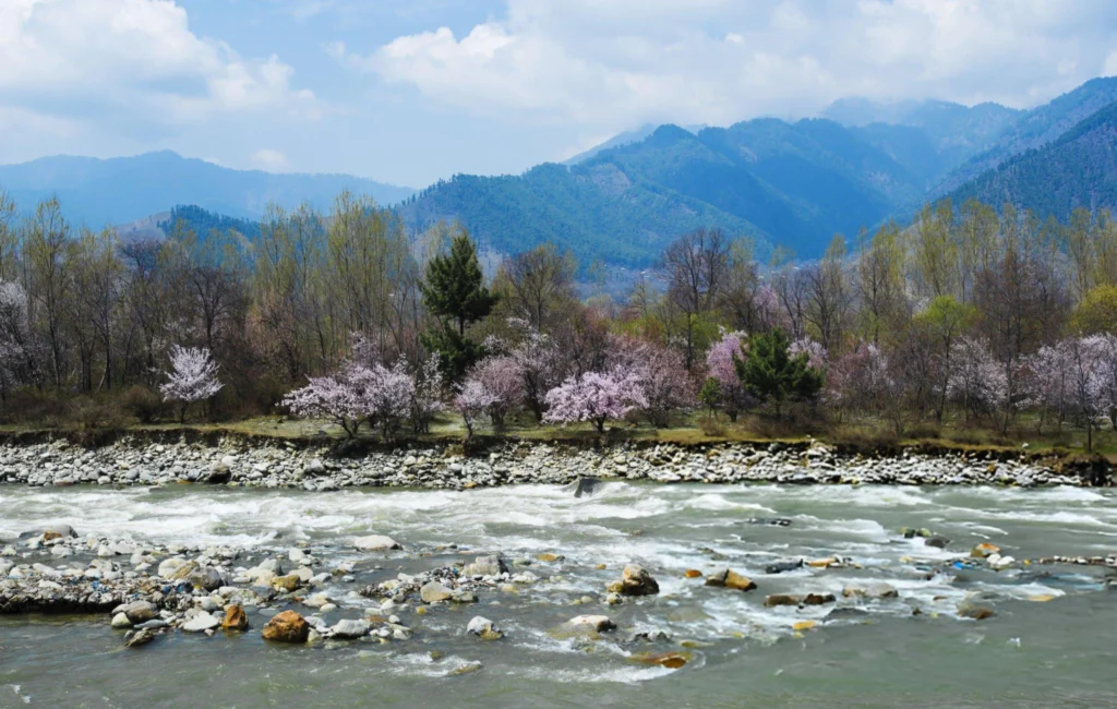 The beautiful Betaab Valley in Pahalgam surrounded by snow-capped mountains and greenery.